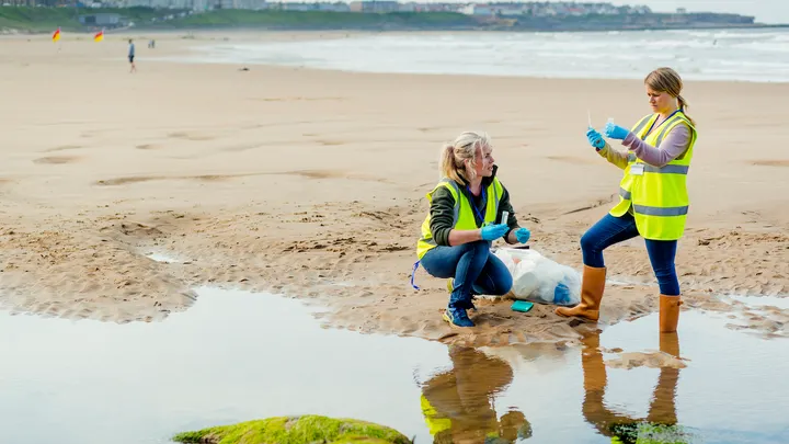 To determine the safety levels of tested beach water