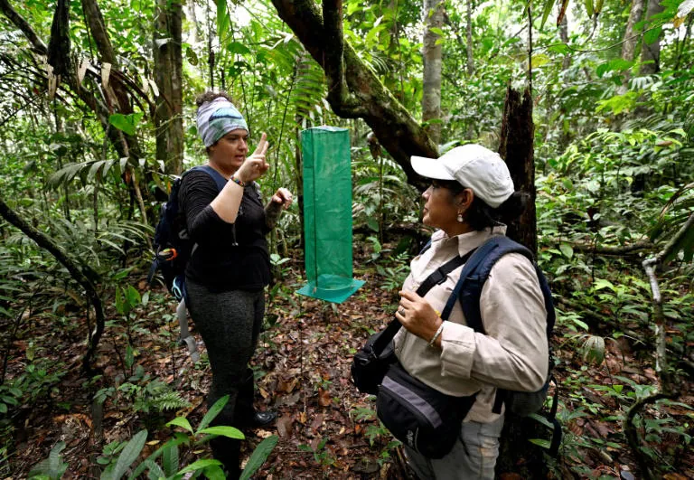 In the Ecuadorian Amazon, butterflies provide a forecast of climate change