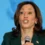 Former Border Patrol union chief: Harris failed to combat ‘root causes’ of illegal immigration